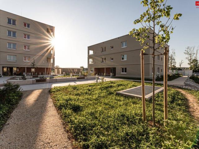 Apartment mieten in Gunskirchen, Bezirk Wels-Land