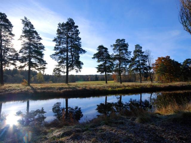 Lägenhet hyra i Örebro