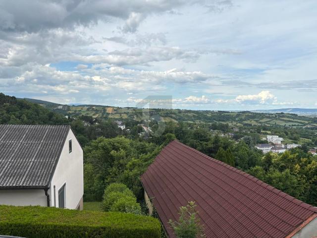 Einfamilienhaus kaufen in Hofleiten, Forchtenstein