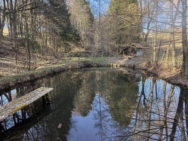 Haus kaufen in Paldau, Bezirk Südoststeiermark