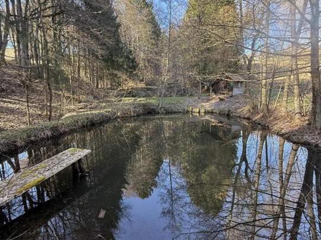 Grundstück kaufen in Steiermark