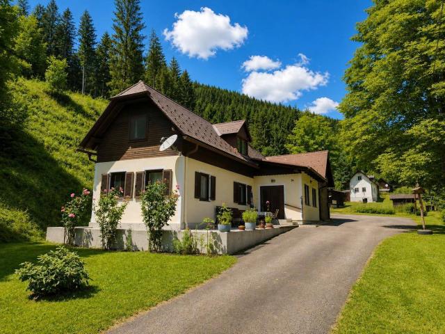 Haus kaufen in Mönichwald, Steiermark