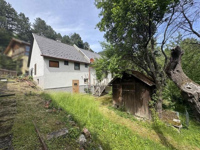 Haus kaufen in Neunkirchen, Niederösterreich