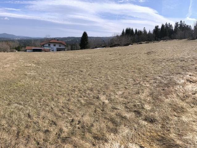 Landwirtschaft kaufen in Philippsreut, Bayern