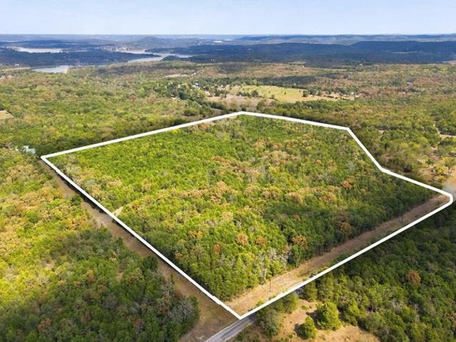 Land for sale in Lampe, Stone County