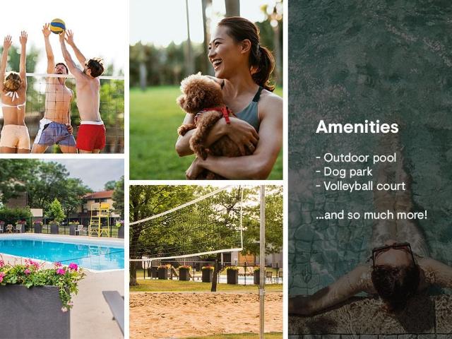 Apartment for rent in Mulhurst Bay, Ontario