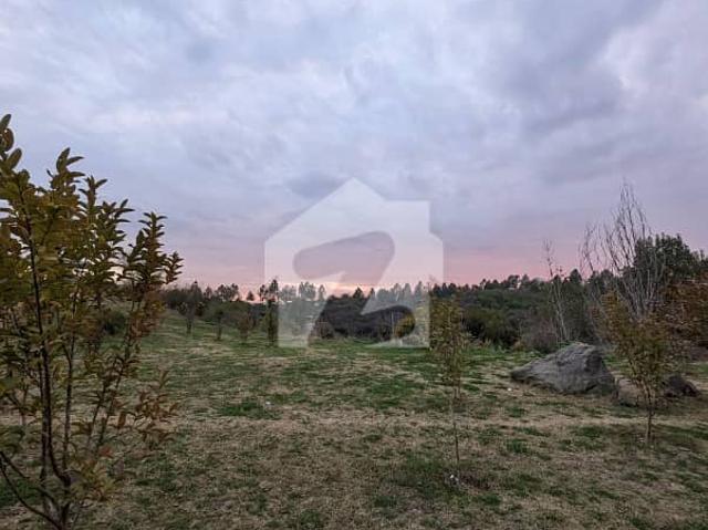 Property for sale in Islamabad