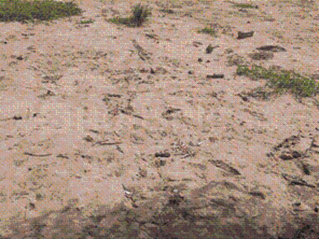 Land for sale in Gujarat
