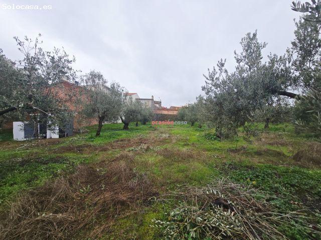 Local Comercial en venta en Villanueva De Córdoba, Andalucía