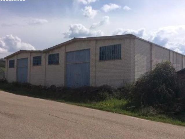 Nave en venta en Vilviestre del Pinar, Burgos