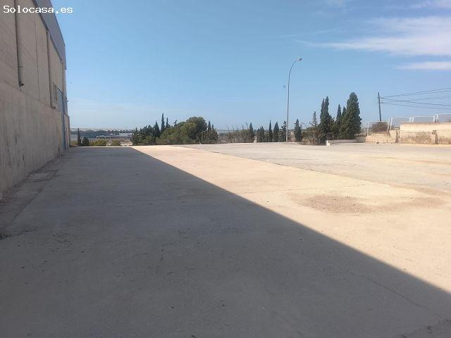 Nave en venta en Atzavares, el Baix Vinalopó