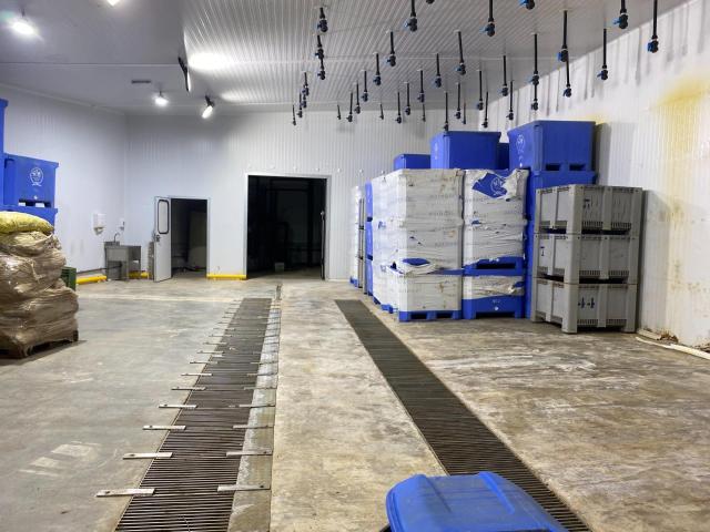 Local Comercial en venta en Albal