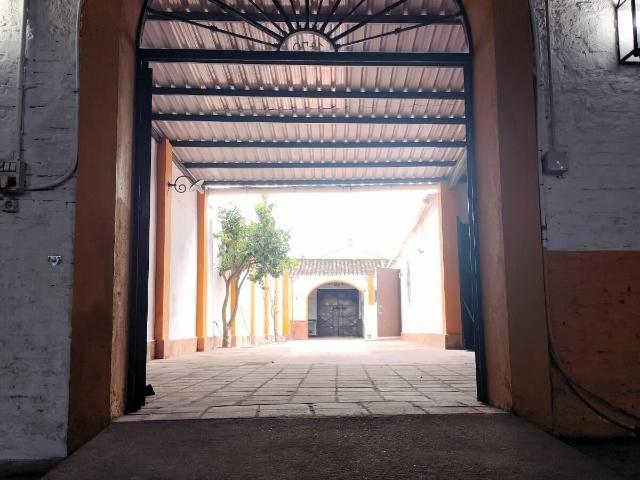 Local Comercial en venta en La Palma Del Condado