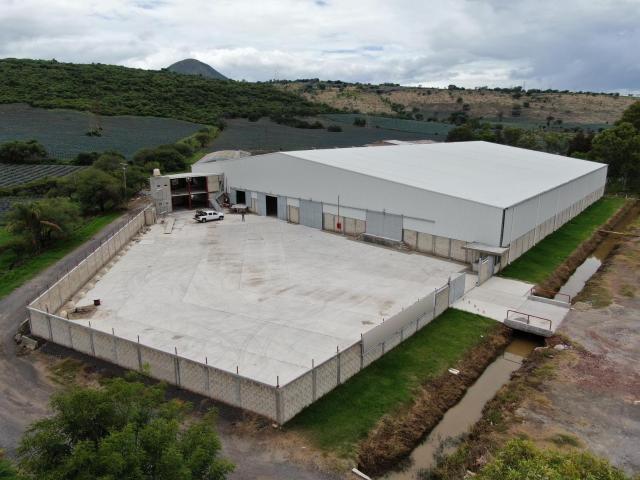 Nave Industrial en renta en Poncitlán, Jalisco