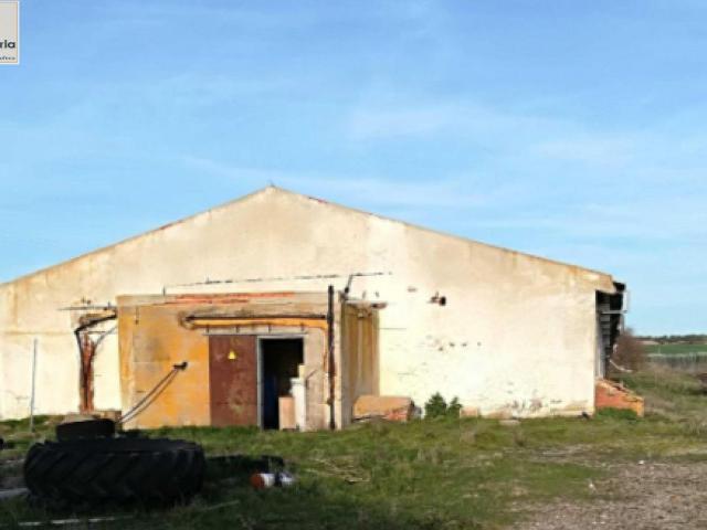 Local Comercial en venta en Tolocirio