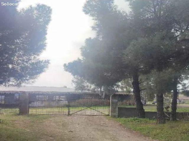 Nave en venta en Almoharín, Extremadura