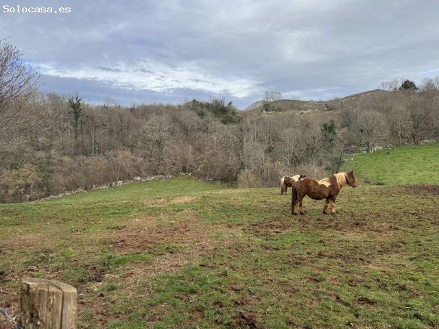 Nave en venta en Onís, Asturias
