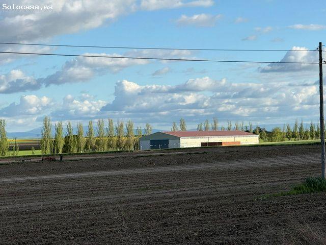 Nave en venta en Cantalapiedra, Castilla y León