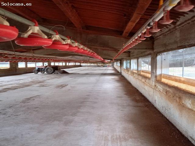 Nave en venta en Gironès, Catalunya