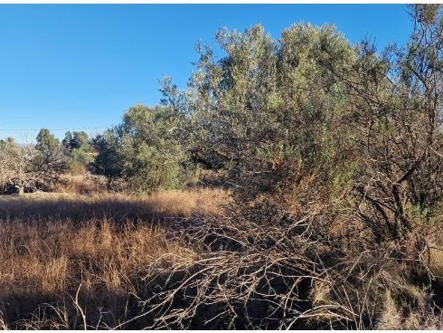 Nave en venta en Mojácar, Andalucía