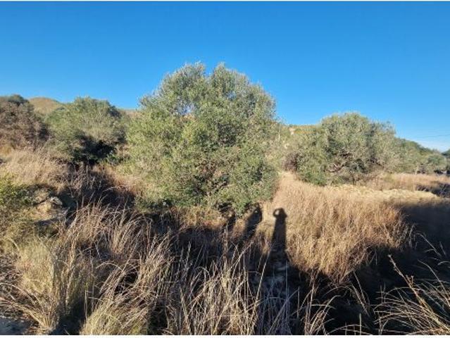 Nave en venta en Mojácar, Andalucía