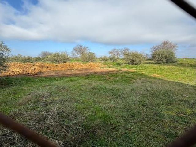 Nave en venta en Santorcaz, Madrid