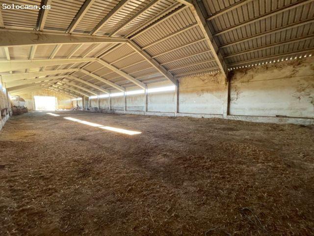 Nave en venta en Priego, Cuenca