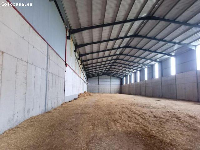 Nave en venta en Amusco, Castilla y León