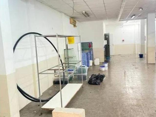 Nave en alquiler en Dones de les Palmes, Elx / Elche