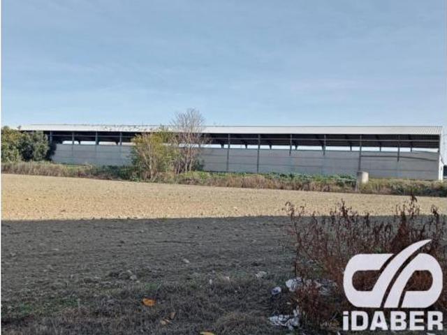 Nave en alquiler en Polígono Industrial La Cárdena-Regüelos, Esquivias