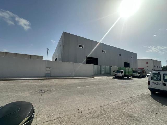 Nave en alquiler en Almoradí, La Erica