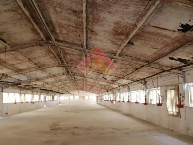 Nave en alquiler en Arriate