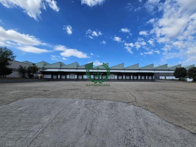 Nave en alquiler en San Agustín Del Guadalix, Madrid