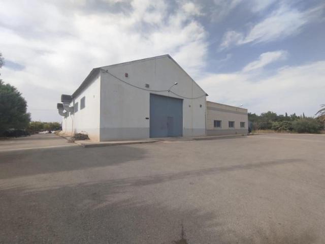 Nave en alquiler en Elche, el Vincle