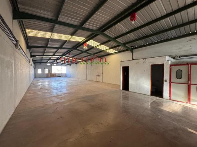 Nave en alquiler en Elche, Alicante