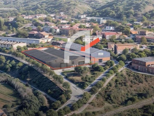 Nave en alquiler en Molins De Rei