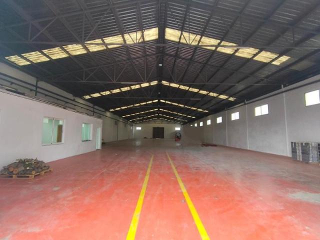 Nave en alquiler en Monforte Del Cid, Mujeres Deportistas Nave en alquiler en Monforte Del Cid, Mujeres Deportistas