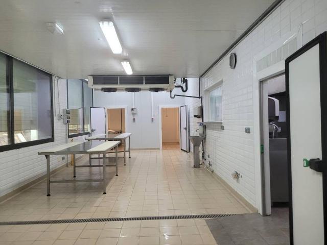 Nave en alquiler en Blanes, Sa Maçaneda