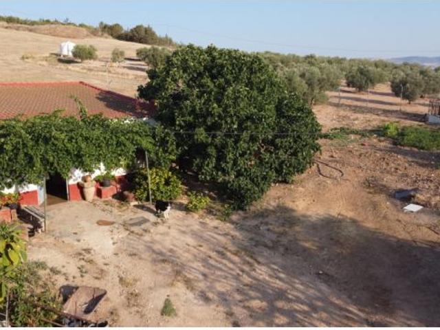Nave en venta en Sierra de las Nieves, Andalucía