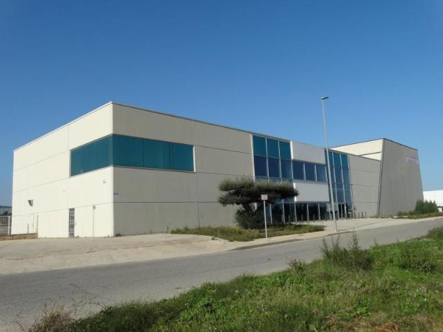 Nave en venta en Amposta