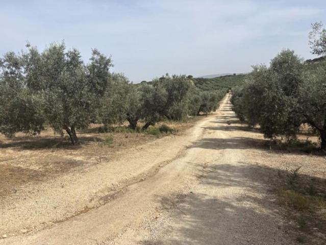 Nave en venta en Antequera, Andalucía