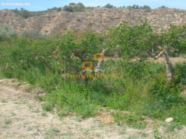 Nave en venta en Huércal-overa, Andalucía