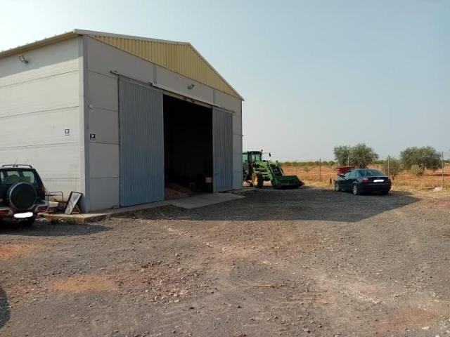 Nave en venta en Pozuelo De Calatrava, Los Ángeles