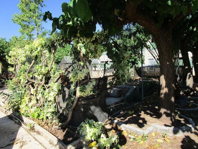 Nave en venta en Baix Ebre, Catalunya