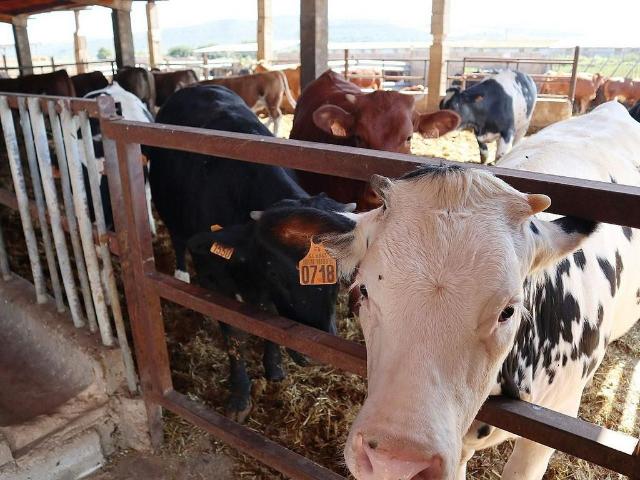 Nave en venta en Montsià, Catalunya