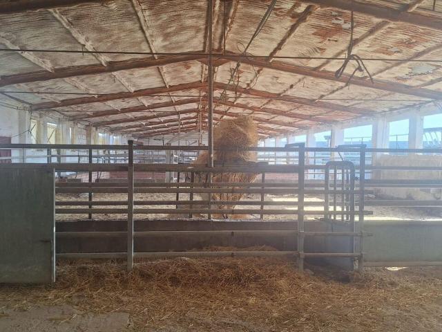 Nave en venta en Quintanar De La Orden, Castilla-La Mancha