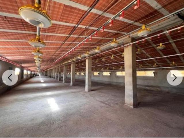 Nave en venta en Oset, Andilla