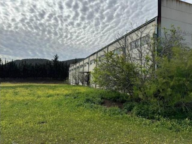 Nave en venta en El Rodeo, Coín