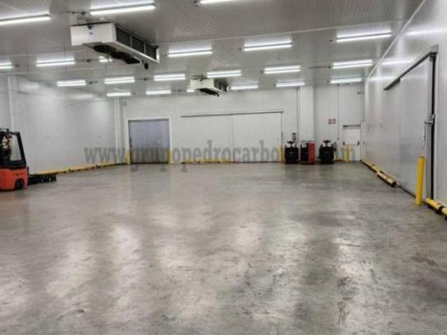 Nave en venta en Crevillent, Alacant / Alicante