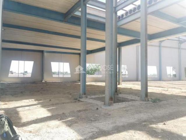 Nave en venta en Polígono Industrial Los Corrales, Dolores